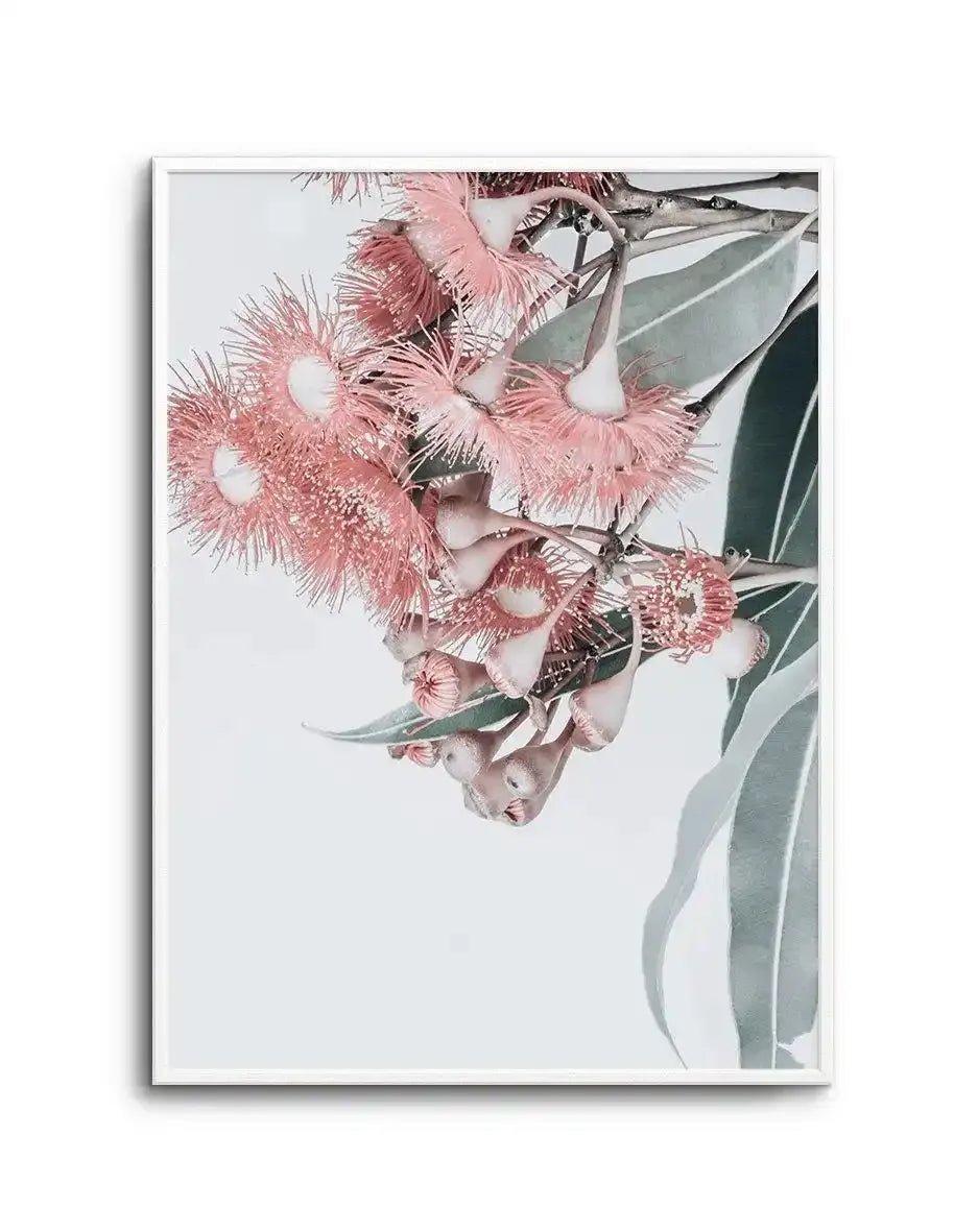 Summer Eucalyptus Art Print