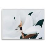 Summer Magnolia | LS Art Print