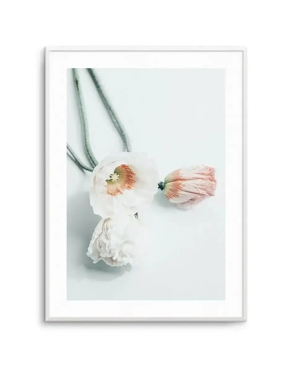 Summer Poppies III Art Print