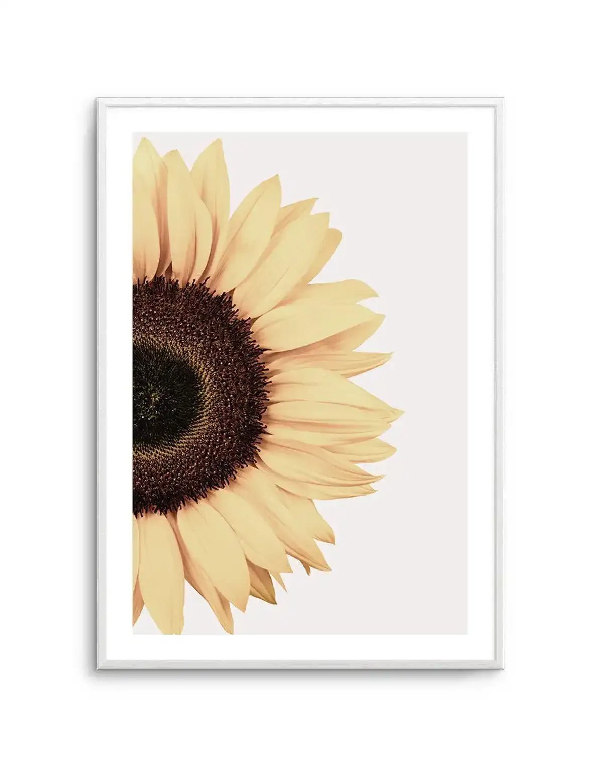 Sunflower Art Print