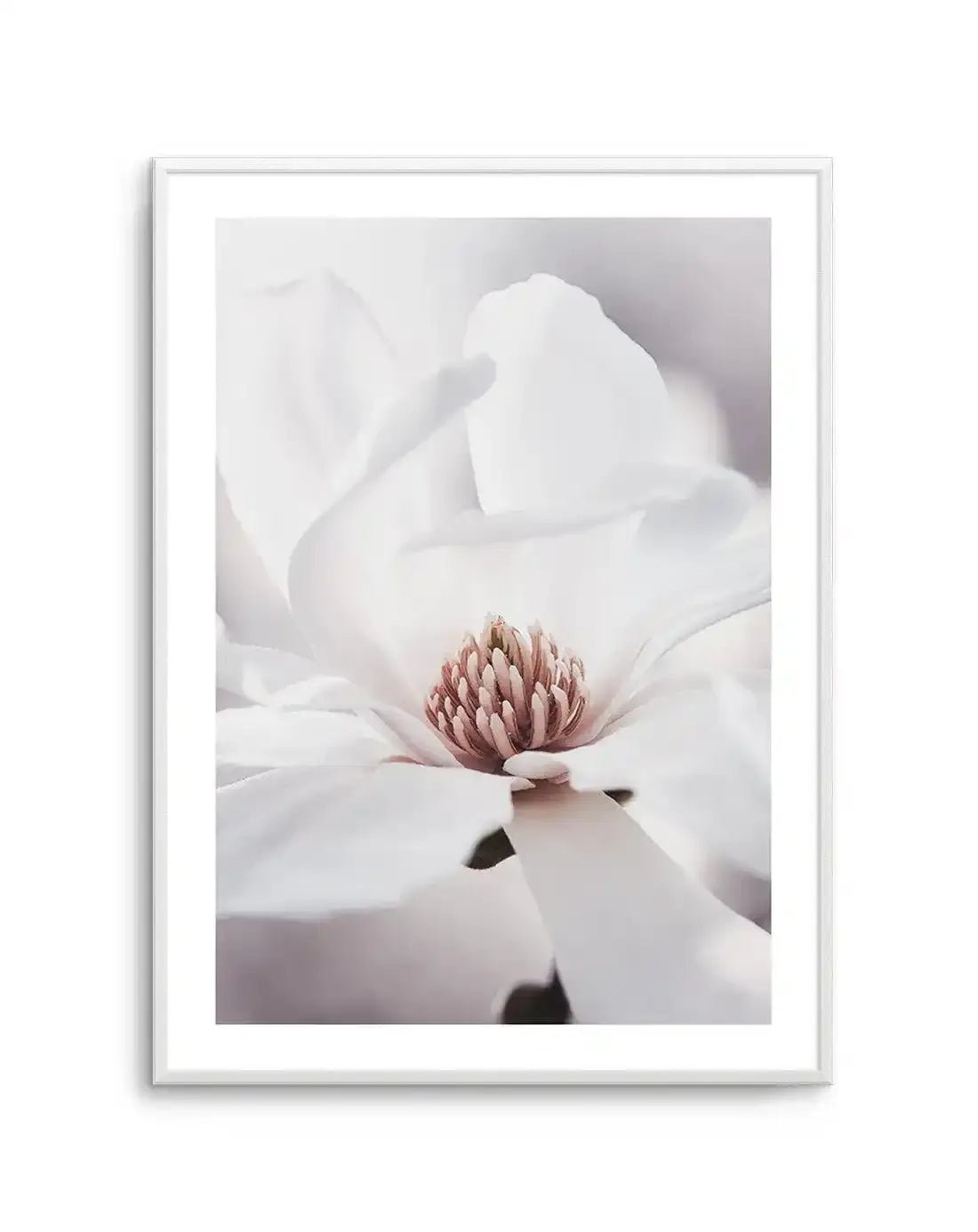 White Magnolia I Art Print
