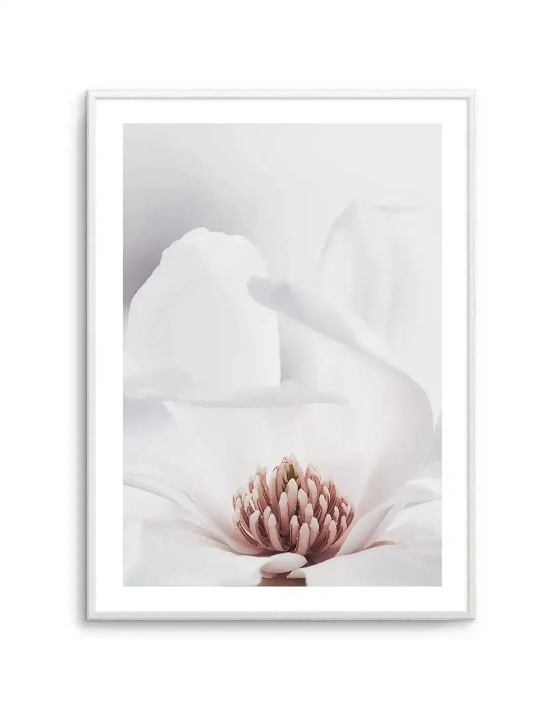 White Magnolia II Art Print