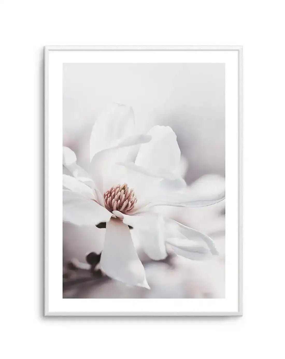 White Magnolia III Art Print